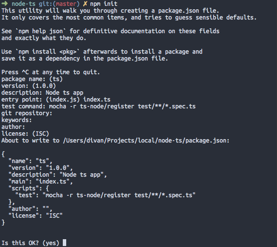 ScreenShot of npm init output